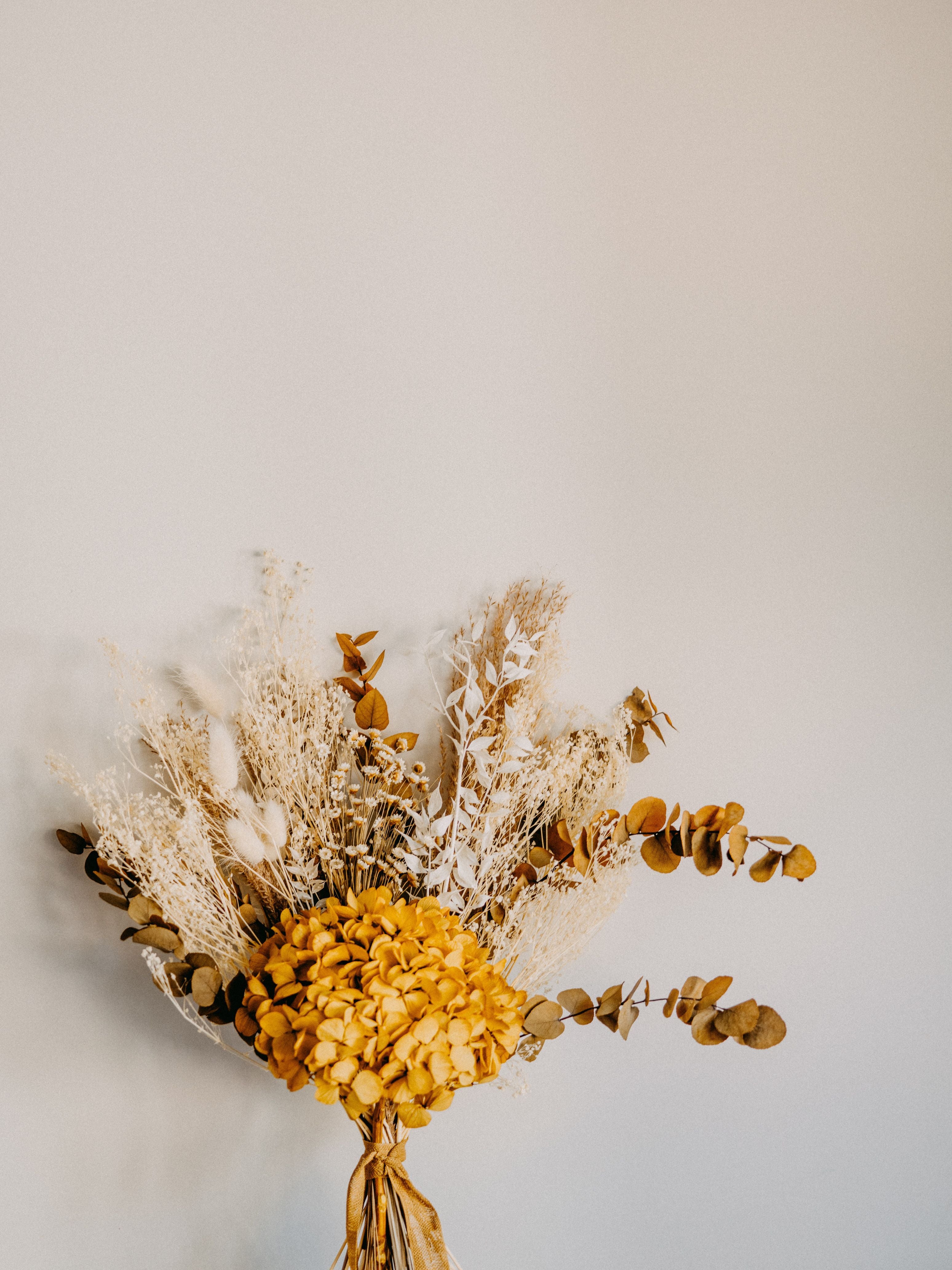 What Sealing Spray Do You Use on Dried Flowers?