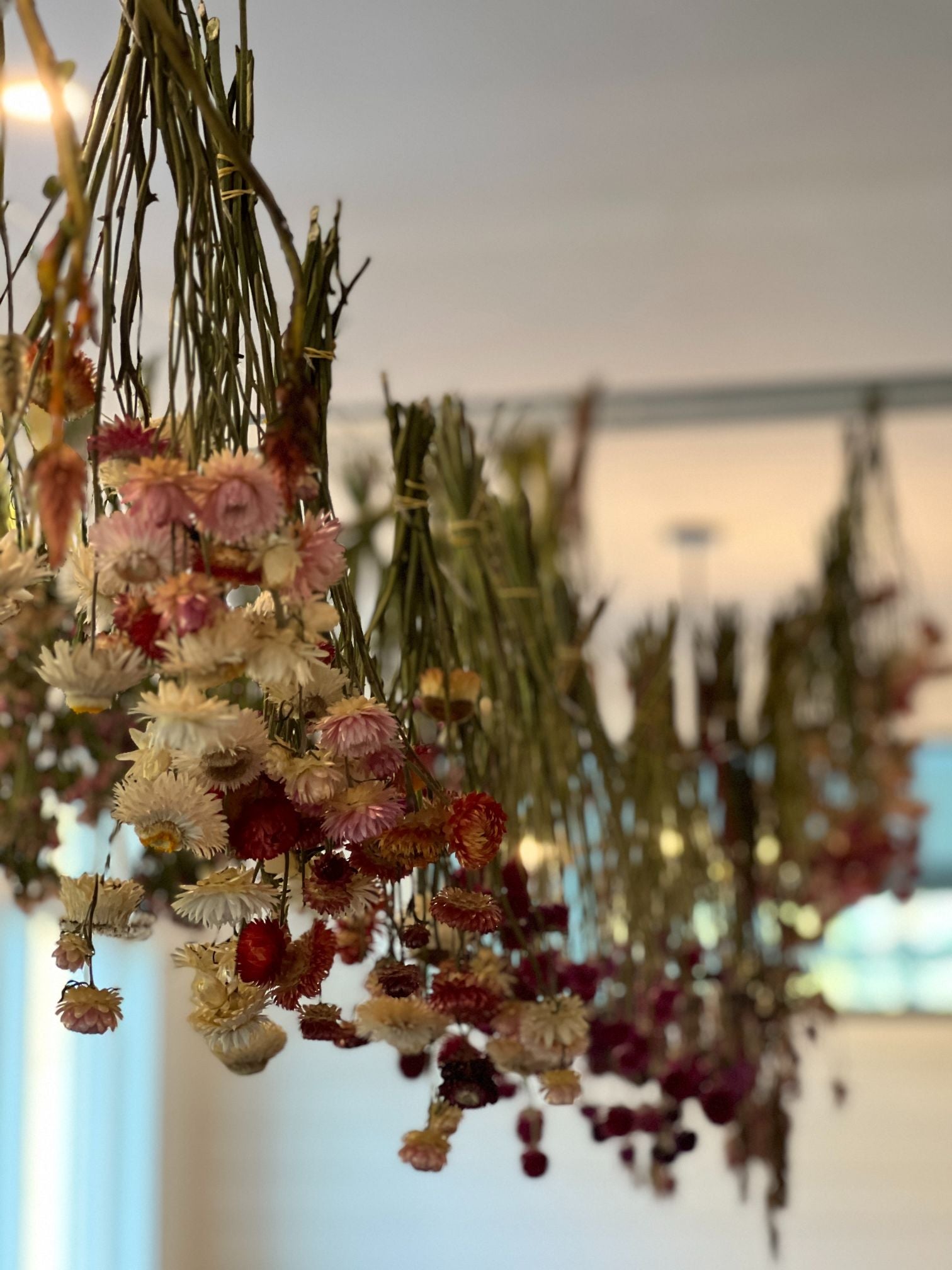 How to dry flowers