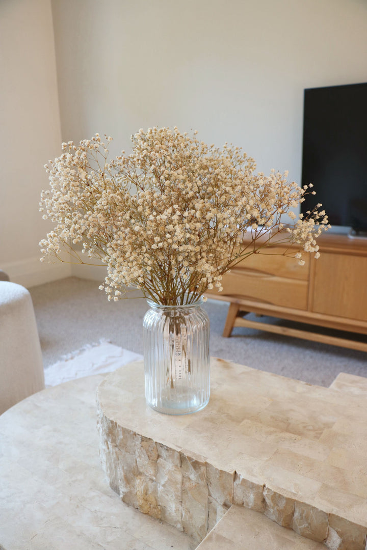 Dried Baby's Breath Bunch