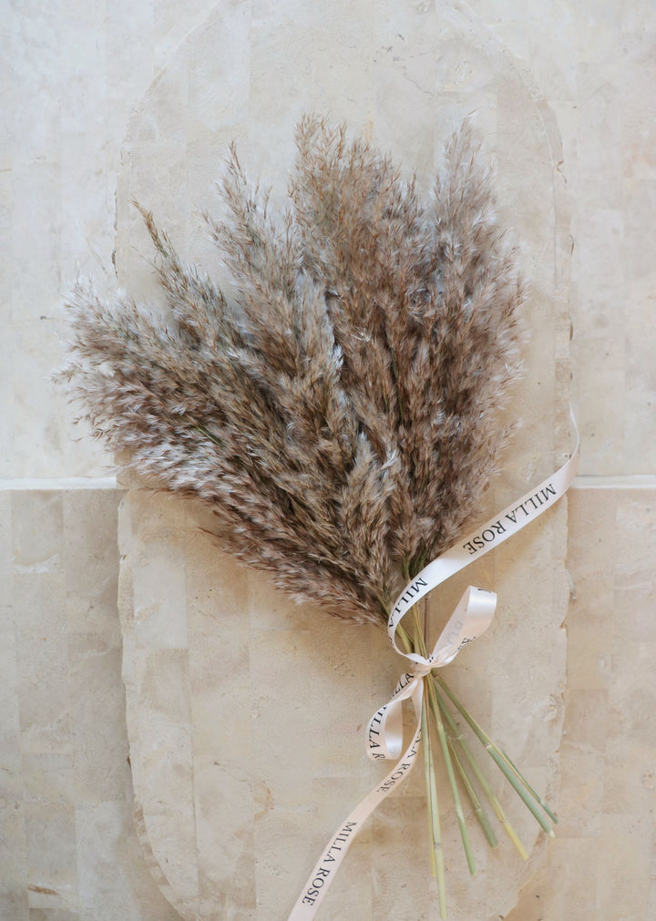 Dried Reed Bunch (6 Stems)