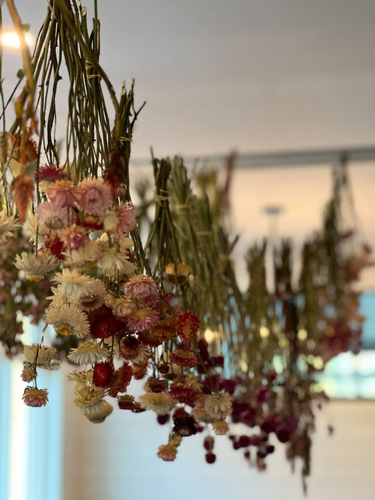How to Dry Flowers: A Step-by-Step Guide
