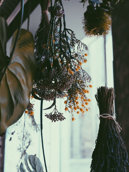 Best Flowers for Drying