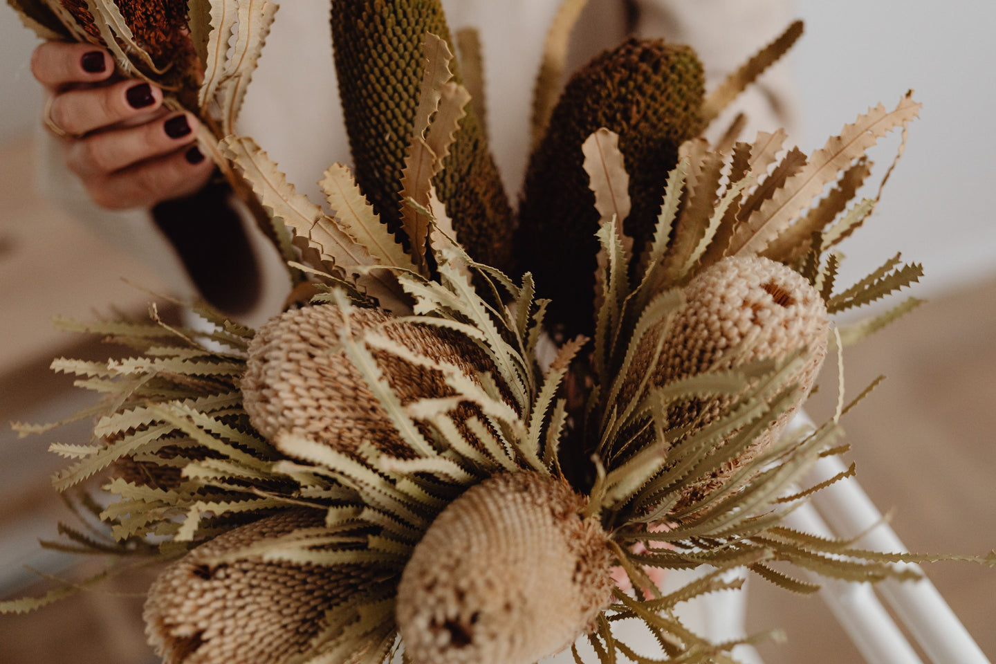 dried banksia flowers