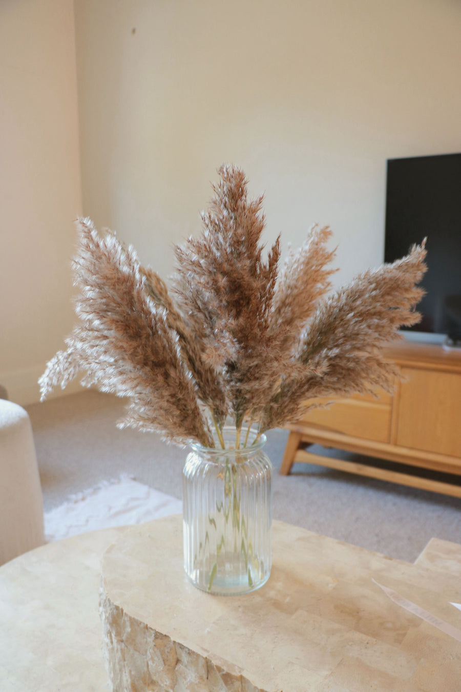 Dried Reed Bunch (6 Stems)