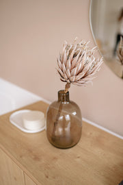 dried king protea in vase